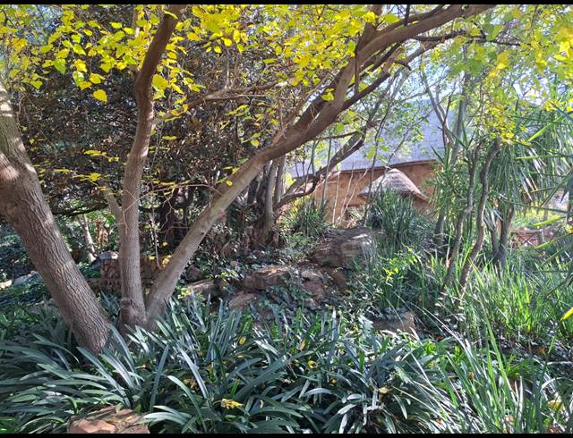 12HA SMALLHOLDING FOR SALE IN GROOTFONTEIN